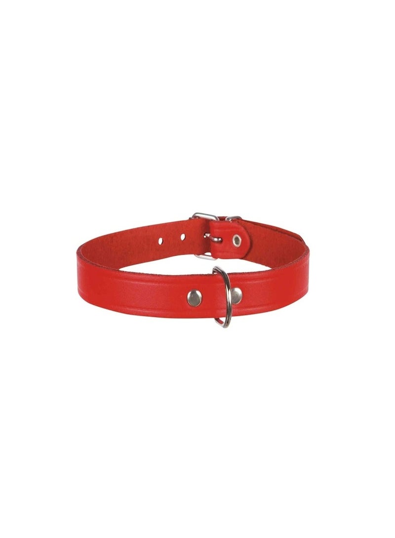تريكسي طوق تريكسي جلد أحمر للكلاب - Image 3