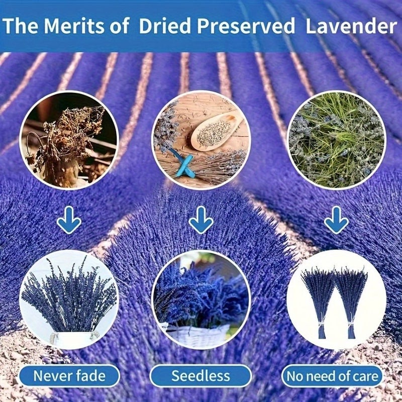 50 Natural Lavender Sticks Long Lasting Fragrance Home Decor Calming Purifying Atmosphere - Image 5