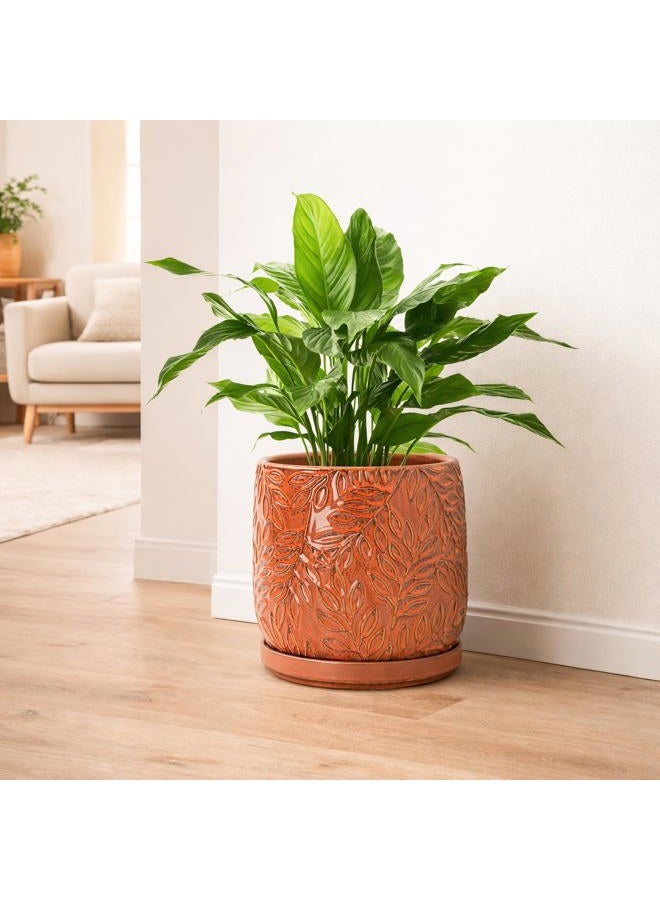 D'vine Dev 8 Inch Embossed Leaves Stoneware Planter Pot with Drainage Hole and Saucer, Pumpkin, 27-A-Q-J - Image 2