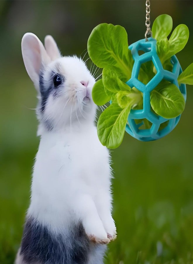 nsgglecher Rabbit Treat Ball, Bunny Enrichment Toy with Stainless Steel Hanger Set, Veggie Feeding Rabbit Ball Toy to Slow Feeder for Bunny, Guinea Pig, Hedgehog, Squirrel, Tortoise - Image 5