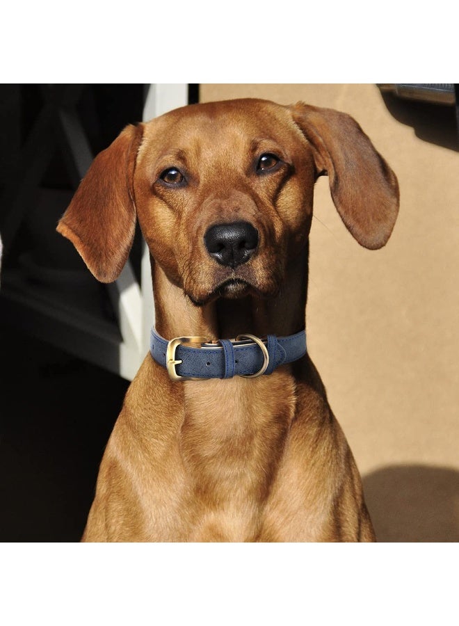 Classic Leather Collar for Small Medium Large  Padded Soft and Strong Adjustable Collars Heavy Duty  Collar (Blue, Small) - Image 4