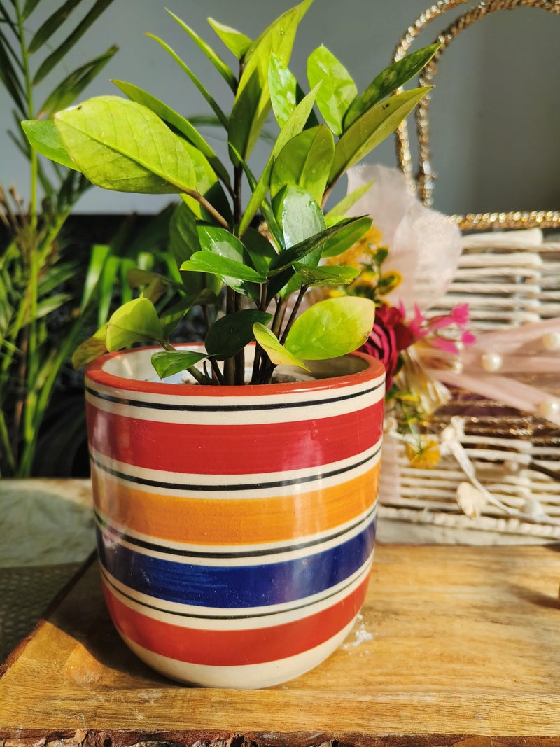 Niyara Ceramic Combo planters Pot for Home Garden Balcony Set of 2, Apple 6 & 4 inch (Multicolor) - Image 4