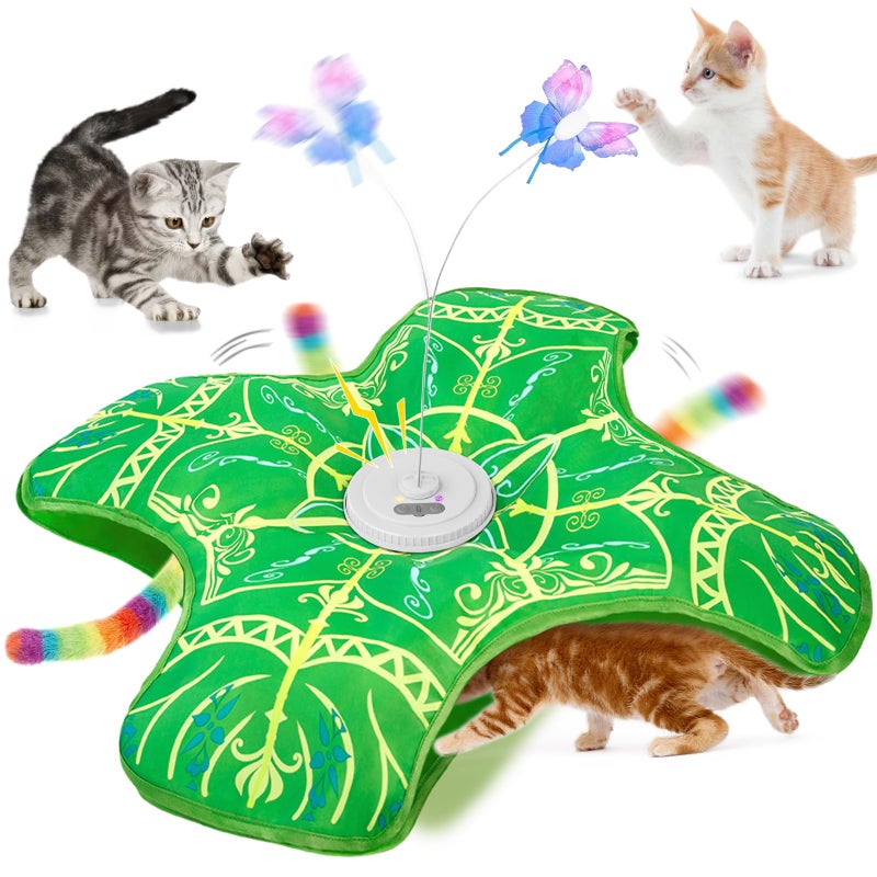 Qraxond Interactive Cat Toys for Indoor Cats,[Newly Upgraded] Rechargeable Touch Activated Hide and Seek Kitten Toys for Bored Indoor Adult Cats with Fluttering (Green) - Image 1