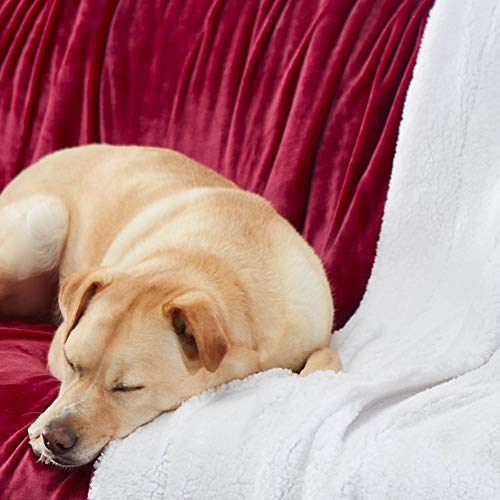 Genteele Sherpa Throw Blanket Super Soft Reversible Ultra Luxurious Plush Blanket, 50 x 60 inches, Rich Burgundy Red/White - Image 5