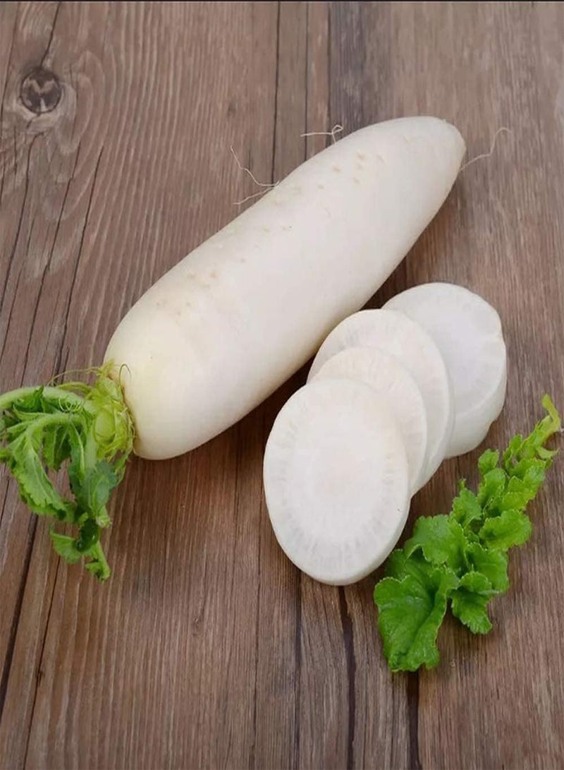 GGOOT 300pcs White Radish Seeds Health Nutrition Fresh Radishs Vegetables for Outdoor Planting Adaptable to Add Color to Your Home Garden - Image 1