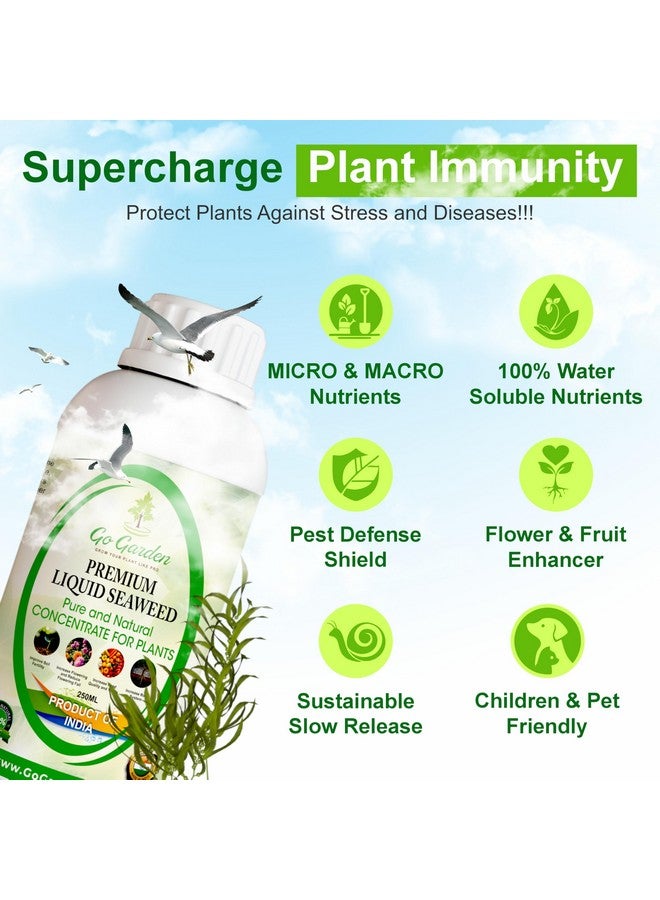 Go Garden سماد عضوي مركز سائل من الأعشاب البحرية للحدائق والنباتات، 250 مل - Image 3