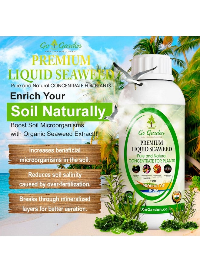 Go Garden سماد عضوي مركز سائل من الأعشاب البحرية للحدائق والنباتات، 250 مل - Image 2