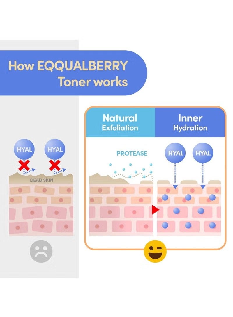 eqqualberry Swimming Pool Toner - Gentle Exfoliating Toner with Natural Enzyme | Boosted Hydration with Hyaluronic Acid | Daily Toner for Sensitive Skin | Korean Skincare, 10.14 Fl. Oz / 300ml - Image 2