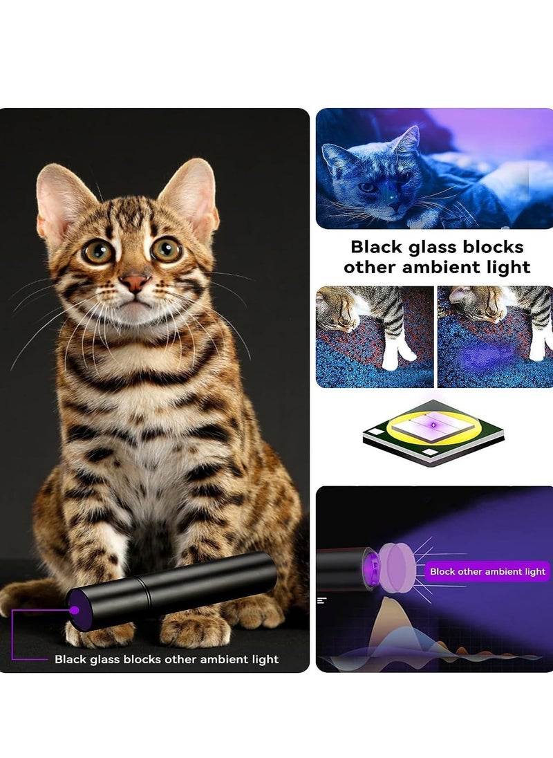 spa luxetique UV Black Light Flashlight, 365nm Portable Handheld Blacklight Flashlights, Mini Ultraviolet Flashlight for Pet Fungus Detection, Cat Ringworm, Doctor Pet Urine Detector  - Image 3