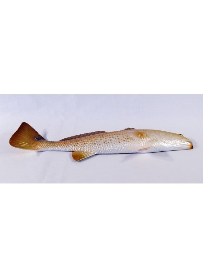 Charlotte International Charlotte International Replica Red Drum Fish Ocean Restaurant Wall Decor  - Image 1