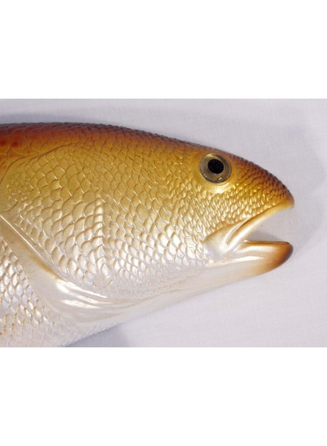 Charlotte International Charlotte International Replica Red Drum Fish Ocean Restaurant Wall Decor  - Image 3