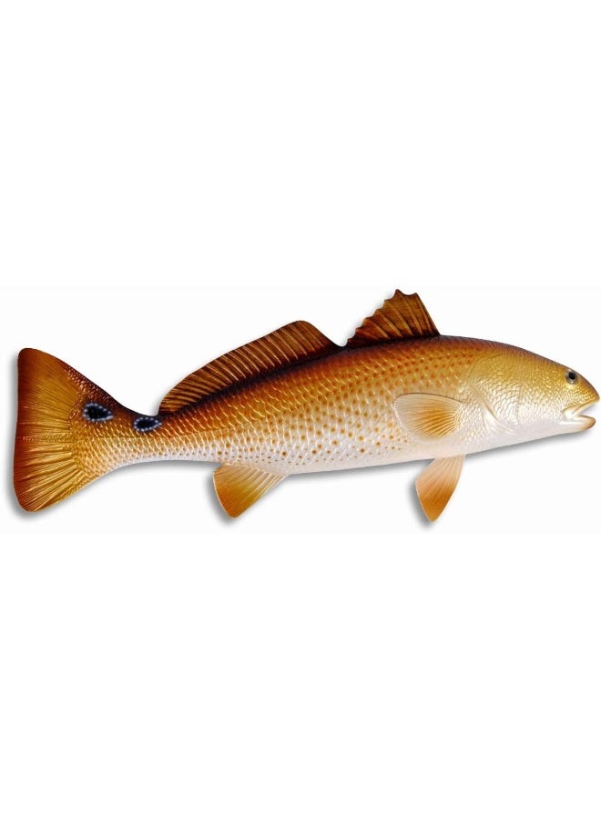 Charlotte International Charlotte International Replica Red Drum Fish Ocean Restaurant Wall Decor  - Image 2