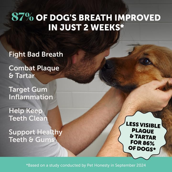 Pet Honesty Dog Breath Freshener Dental Powder for Teeth Cleaning Plaque Off, Dental Care for Dogs, Tartar Remover for Teeth with Natural Herbal Blend + Postbiotics (Mint - 30 Servings) - Image 3
