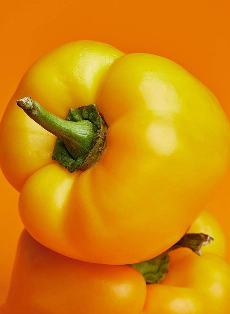 GGOOT 100pcs Bell Pepper Seeds Orange Bell Pepper Green Vegetables Can Be Harvested for Many  - Image 2