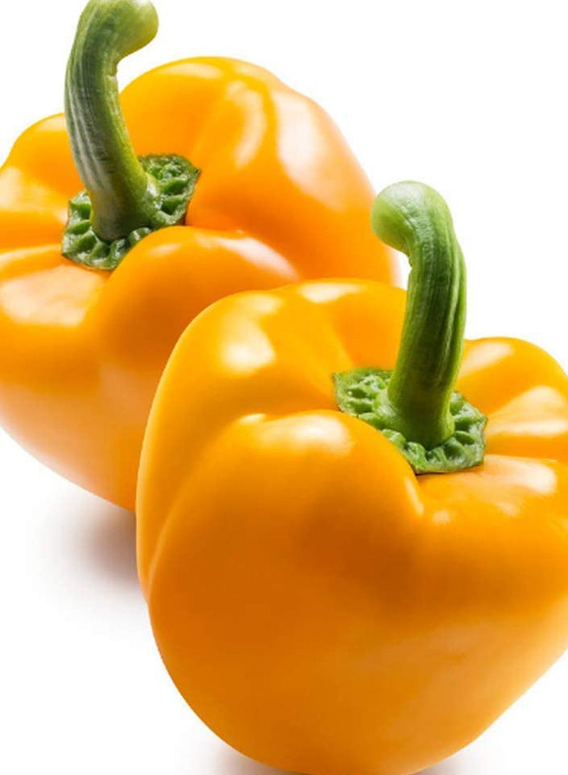 GGOOT 100pcs Bell Pepper Seeds Orange Bell Pepper Green Vegetables Can Be Harvested for Many  - Image 1