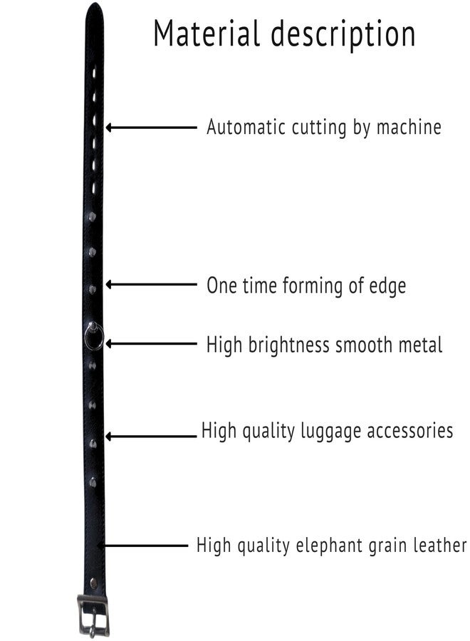 eeoan Leather Spike Choker Goth Punk Neck Collar, Choker O-Ring Spike Rivets With Adjustable Locking Buckle for Women and Girls - Image 5