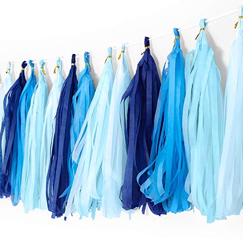 binpeng Binpeng 98in Blue Tissue Paper Tassel DIY Hanging paper decorations Party Garland Decor for Party Decorations WeddingFestivalBaby Shower Decoration 20PCS25cm 