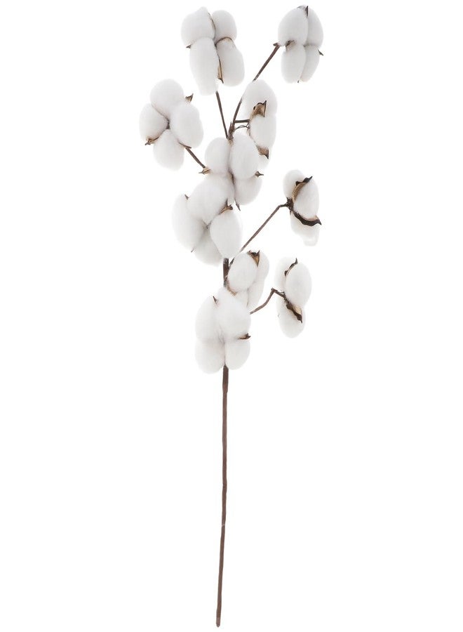 GRIRIW 10 Faux Dried Cotton Stems - Natural Dried Cotton Flowers Plants for Vase Fillers and Arrangements for Fall Decorations DIY Crafts Farmhouse Decor - Image 1