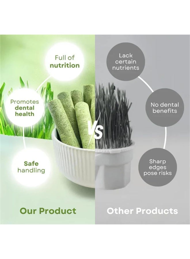 KOWVOWZ Cat Grass Stick Treats for Cat,Natural Grass Molar Rod,Catnip Cats Grass Toys,for Increase Appetite/Hairball Removal/Teeth Cleaning(2 Bags) - Image 4