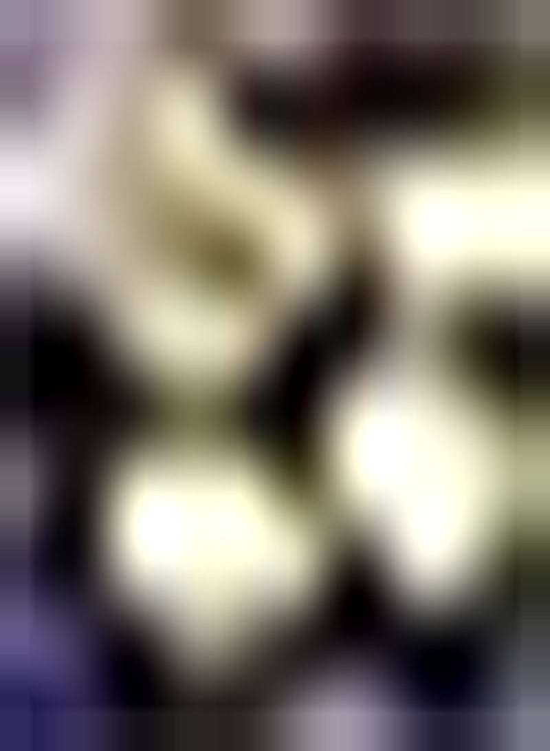 GGOOT 200pcs Kiwi Fruit seeds Non GMO Kiwi seeds Organic Perennial Fruit Tree seeds for Planting Sweet and Juicy Woody Vine Variety - Image 1