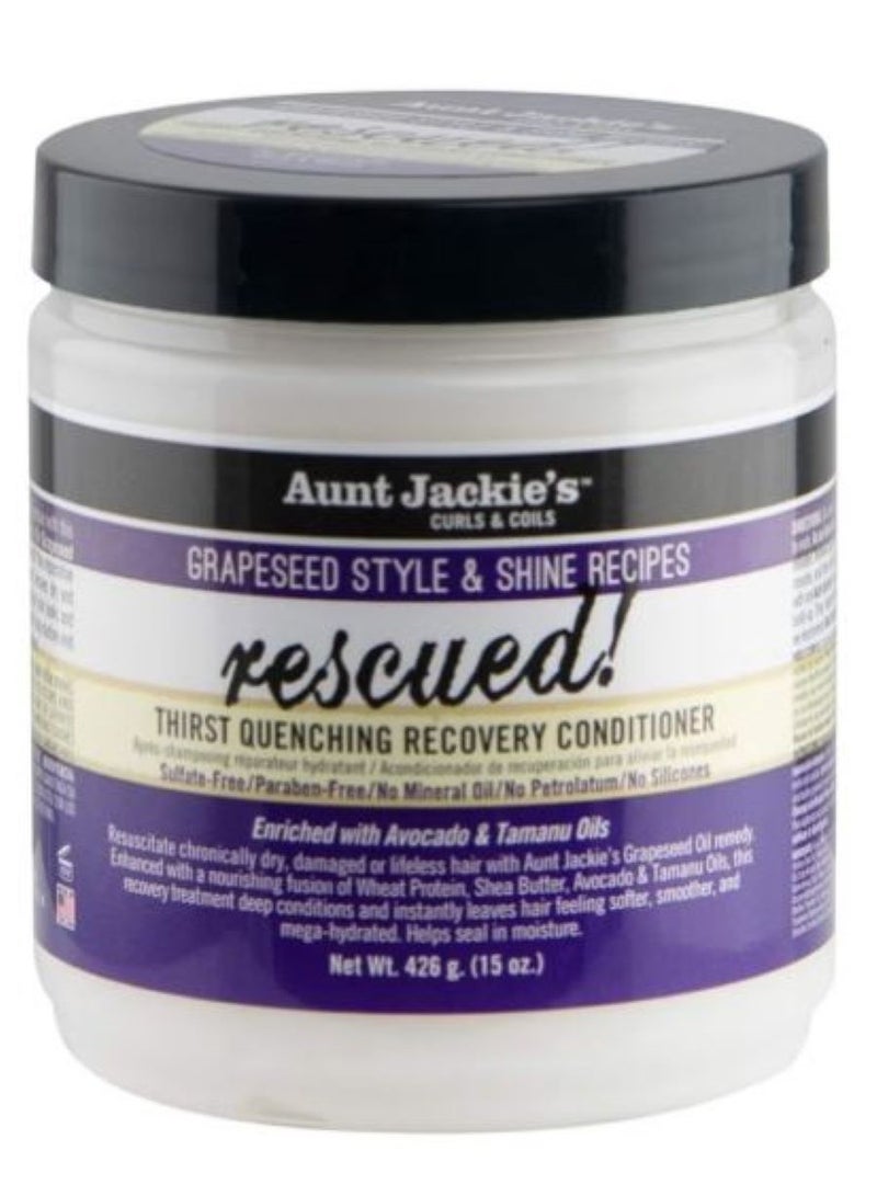 Aunt Jackie's Grapeseed Style And Shine Recipes Rescued Thirst Quenching Hair Recovery Conditioner, 426 g - Image 1