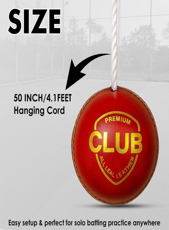 Protoner Cricket Practice Hanging Ball with Rope, Leather Training Ball, Red - Image 3