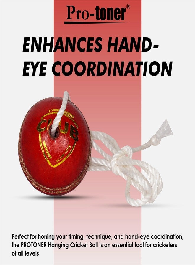 Protoner Cricket Practice Hanging Ball with Rope, Leather Training Ball, Red - Image 5