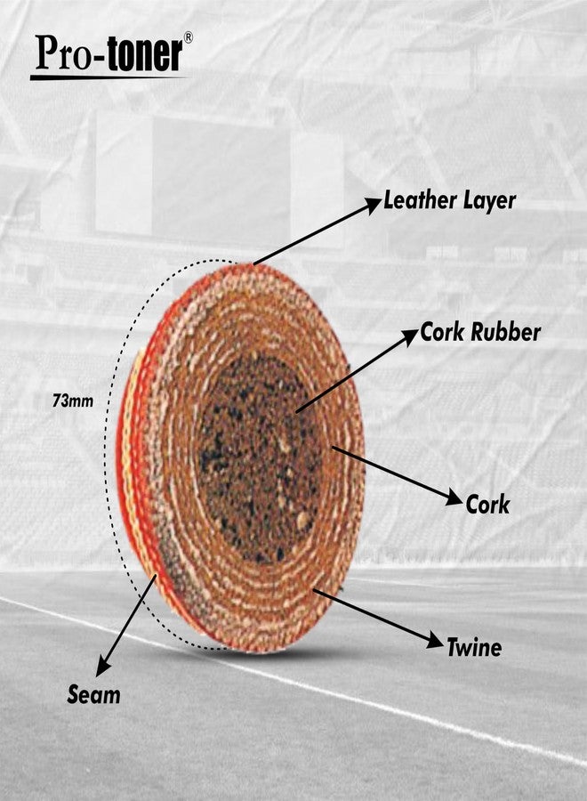 Protoner Cricket Practice Hanging Ball with Rope, Leather Training Ball, Red - Image 4
