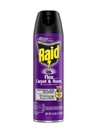 Raid Flea finish Spray 16 OZ - pzsku/ZFDB7A453C0165C5A8FC9Z/45/_/1703630957/c0618b4b-81db-40cc-a3f4-a014bb00d3cb