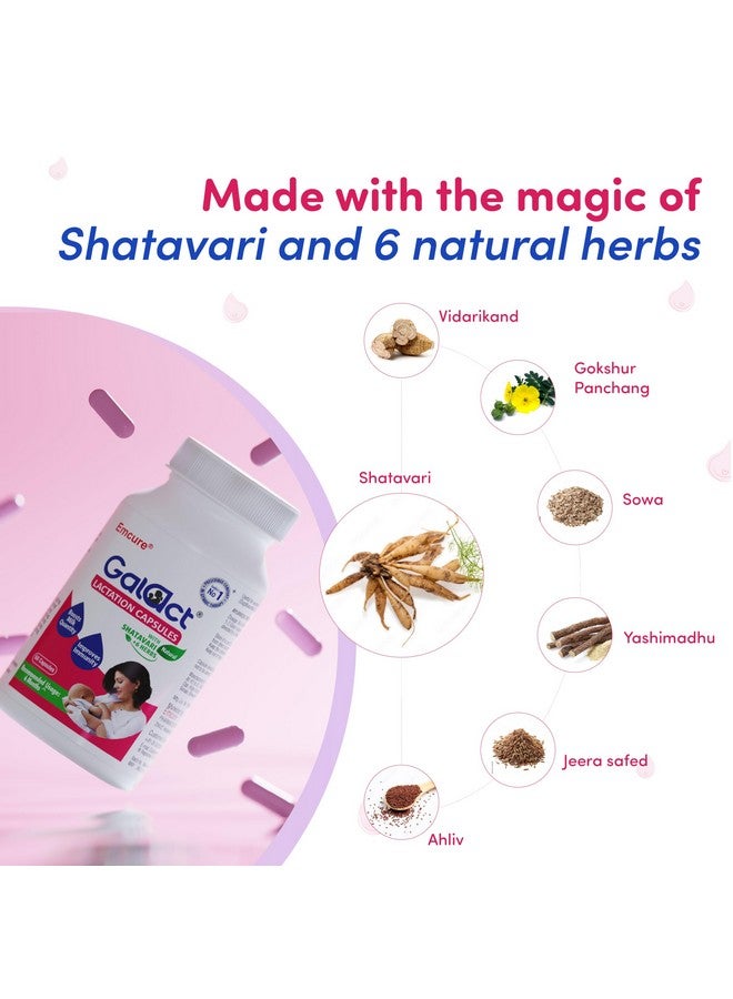 Galact Lactation Capsules - Breast Milk Booster & Lactation Supplement for Breastfeeding | Infused with Shatavari & 6 Natural Herbs | Increases Breast Milk Quantity | Pack of 60 Capsules - Image 2