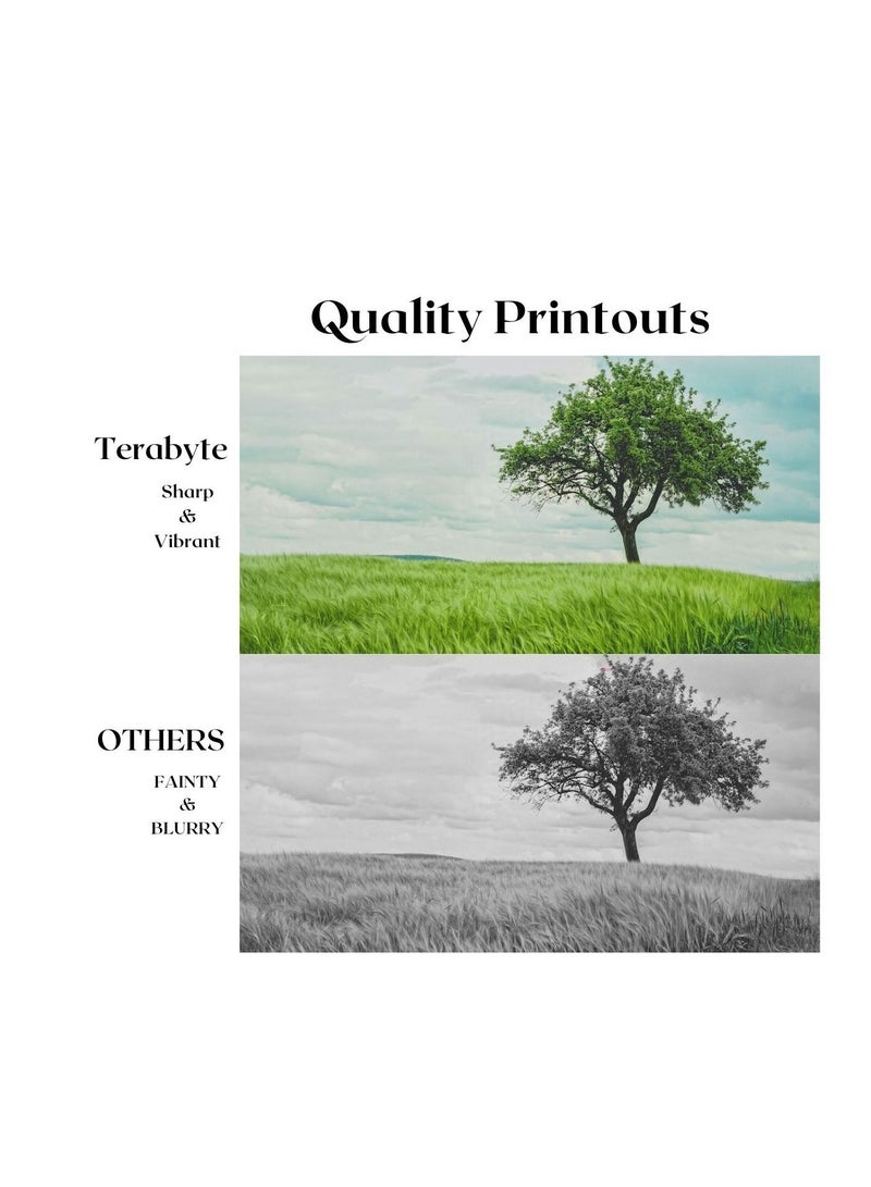 Terabyte NPG59/GPR45/EXV42 COMPATIBLE TONER TERABYTE - Image 2