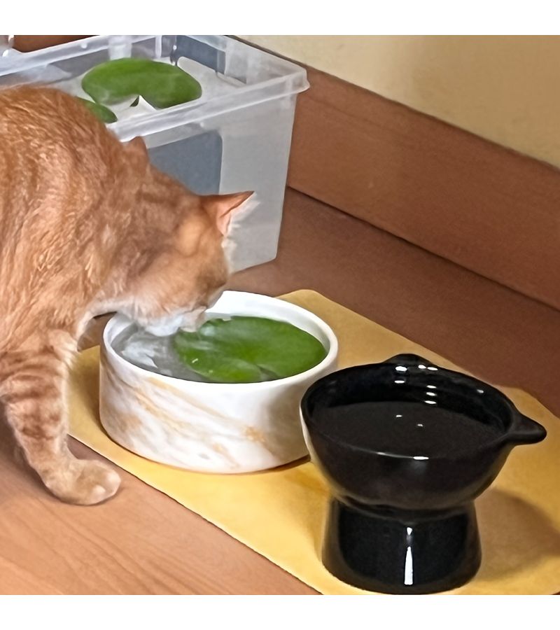 Artificial Lotus Leaf Cat Water Set With 2 Koi Fits All Bowls - Image 3
