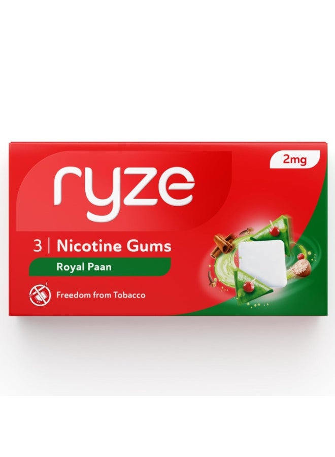 رايز علكة رايز نيكوتين ٢ ملغ | رويال بان | علكة مضغ طرية | تساعد على الإقلاع عن التدخين والمضغ | الإقلاع عن التدخين | ٣ علكات | عبوة واحدة × عبوة من ٣٠ - Image 1