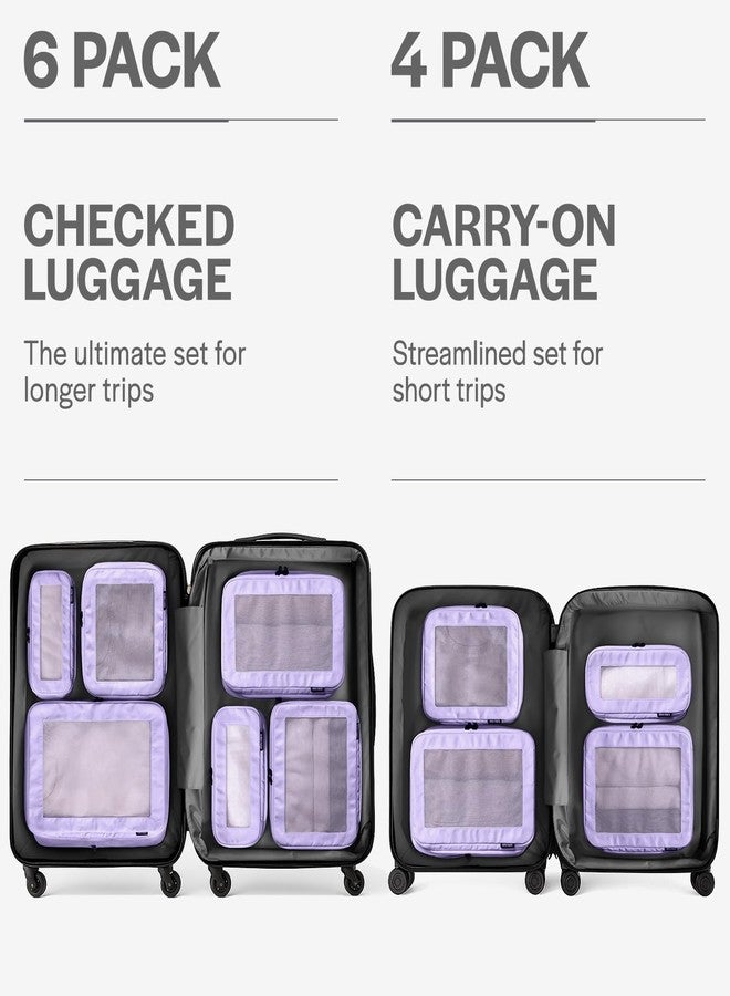 Aerotrunk مكعبات ضغط التعبئة للسفر من أيروترانك - حقائب تنظيم الأمتعة - مكعبات تعبئة بسحاب مزدوج للحقائب (عبوة من 6 قطع، لون بنفسجي) - Image 4