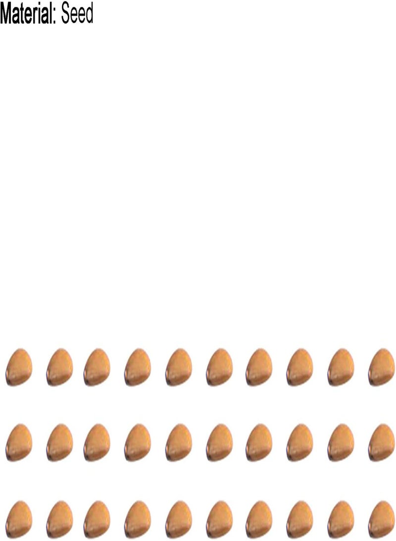 GGOOT Plant Seed 30Pcs/Bag Fruit Seeds Delicious Easy to Plant Non-GMO Persimmon Plant Flower Seeds for Outdoor - Persimmon Seeds - Image 5