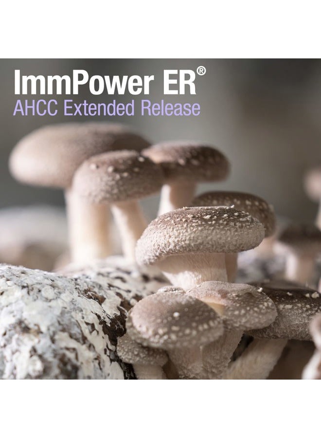 American BioSciences مكمل دعم المناعة من فطر إم باور ER AHCC (إطلاق ممتد) ، 60 كبسولة ، 500 ملغ لكل كبسولة - Image 4
