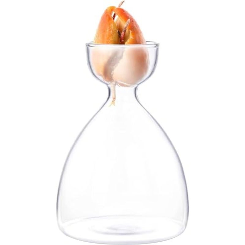Seed Sprout Starter Vase Avocado Tree Growing Kit Glass Garden Seed Starter Planter Pot Germination Vase for Dry Seed Starting Easy-to-Use Indoor Planting Vase for Adults Families - Image 4