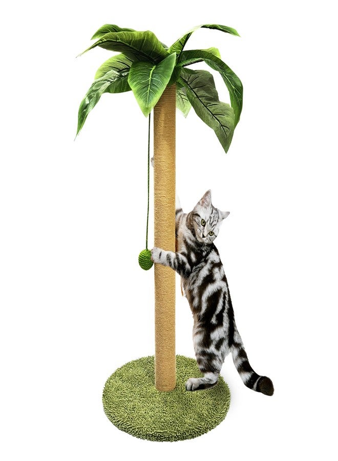 PETKARAY Cat Scratching Post, 36" Tall Palm Tree Cat Scratching Post, Sisal Cat Scratcher with Toy Ball for Indoor Kittens, Large Size - Image 1