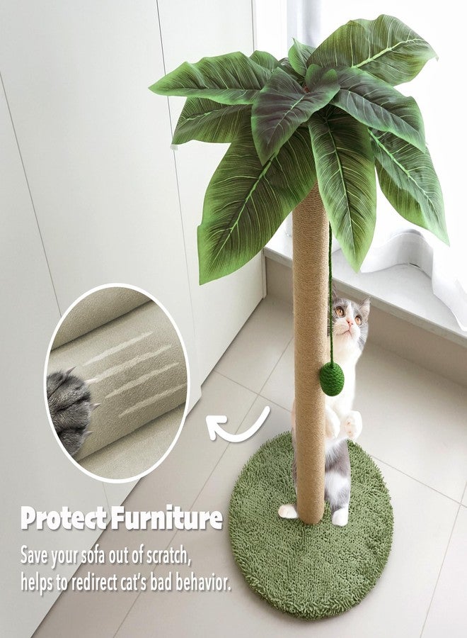 PETKARAY Cat Scratching Post, 36" Tall Palm Tree Cat Scratching Post, Sisal Cat Scratcher with Toy Ball for Indoor Kittens, Large Size - Image 4