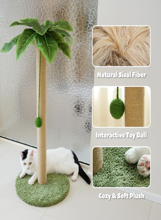 PETKARAY Cat Scratching Post, 36" Tall Palm Tree Cat Scratching Post, Sisal Cat Scratcher with Toy Ball for Indoor Kittens, Large Size - Image 3
