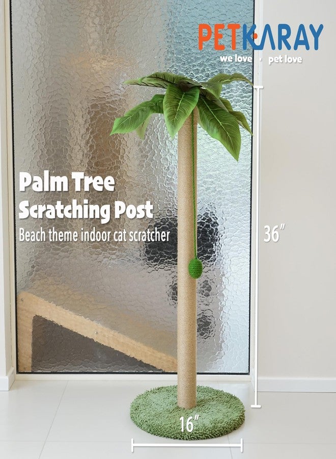 PETKARAY Cat Scratching Post, 36" Tall Palm Tree Cat Scratching Post, Sisal Cat Scratcher with Toy Ball for Indoor Kittens, Large Size - Image 2