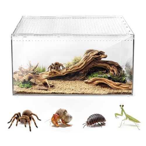 AZV Escape Proof Reptile TerrariumShatter Proof Polycarbonate Tarantula Tank with Magnetic LidVentilated Spider Enclosure360 Clear ViewEasy Clean Habitat for GeckoFrogsInsectsHermit Crabs L - Image 1