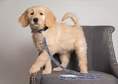 Pets First NCAA PET String, Large, Penn State Nittany Lions, Dog String, Shiny & Colorful String for Dogs & Cats Licensed by the NCAA, Old Version - Image 3
