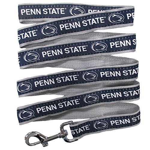Pets First NCAA PET String, Large, Penn State Nittany Lions, Dog String, Shiny & Colorful String for Dogs & Cats Licensed by the NCAA, Old Version - Image 1