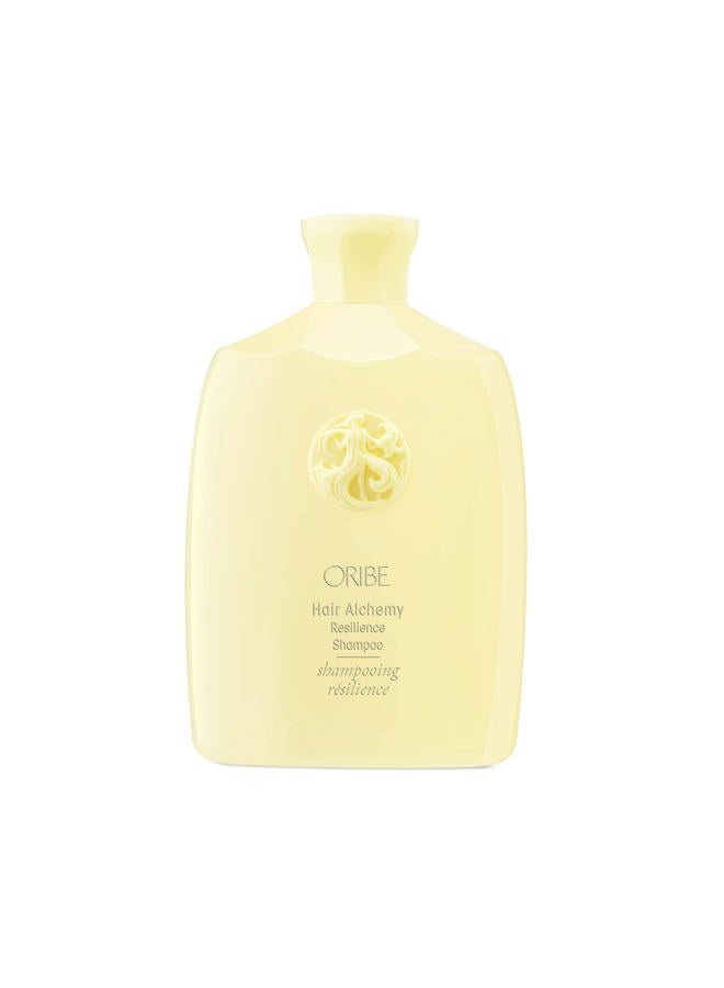 ORIBE شامبو أوربي للشعر ألشيمي، 8.5 أونصة سائلة. - Image 1