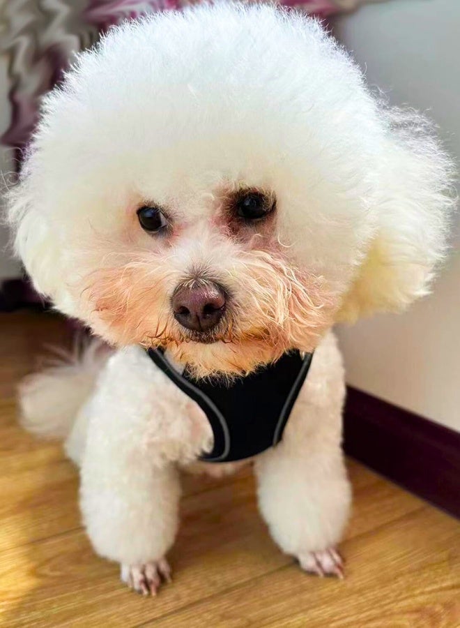 Chase Up Dog Harness Small Medium Large Dogs No Pull, Puppy Harness & Leash Set, Step-in, Mesh, Reflective, Black, XXS (JJSS032) - Image 2