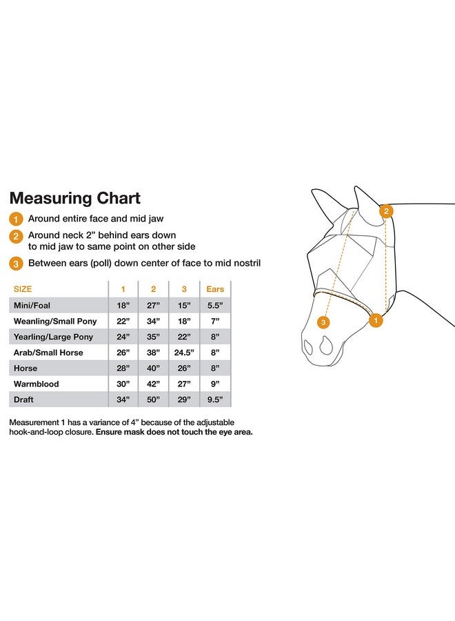 كاشيل قناع كاشيل للركوب الهادئ على شكل حصان مع أنف وأذنين طويلتين، أسود، حصان - Image 2