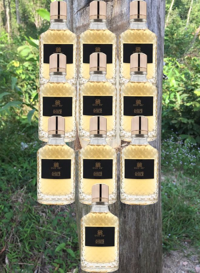 ألباين نوبل 10 قطع عطر عود 45 100 مل - Image 1