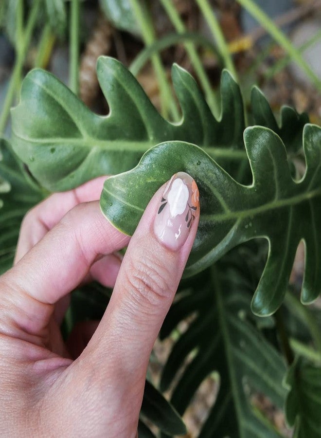 Nodspark Summer Blossoms Nail Polish Wraps Manicure | Contains 16 Floral Nail Art Nail Wraps (8 Different Sizes) | Affordable | Quick and Easy to use | 15 Minute Application | Lasts up to 2 Weeks | - Image 3