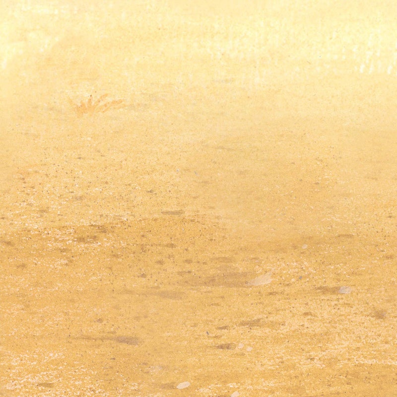 Beistle Desert Sand Backdrop Party Accessory 1 Count 1Pkg - Image 4